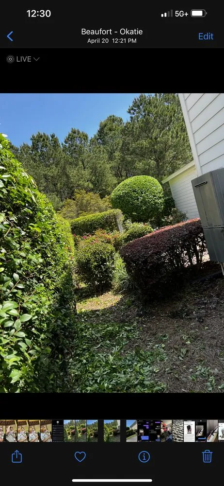 Top-rated yard cleanup service in Houston, TX - RGG Lawncare & Design