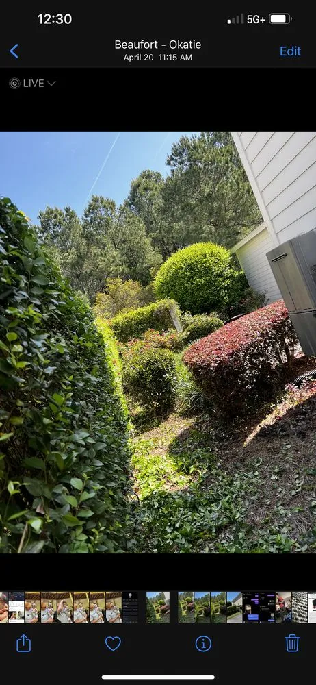 Expert yard cleanup service in Houston, TX by RGG Lawncare & Design