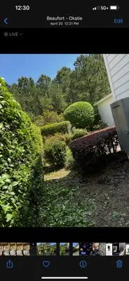 RGG Lawncare & Design Logo