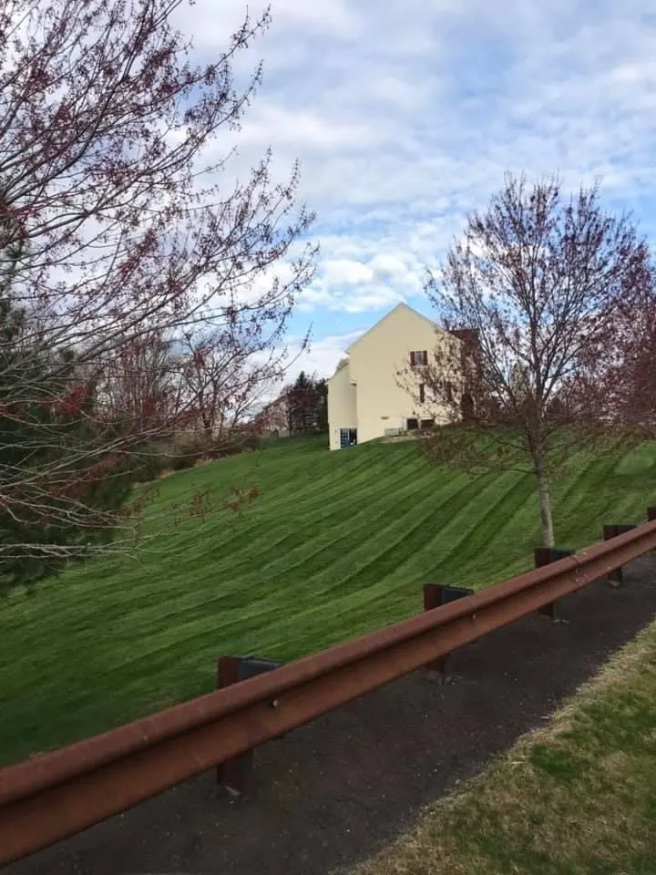 Expert yard cleanup service for outdoor upgrades in Ringoes, NJ by RGI Landscaping