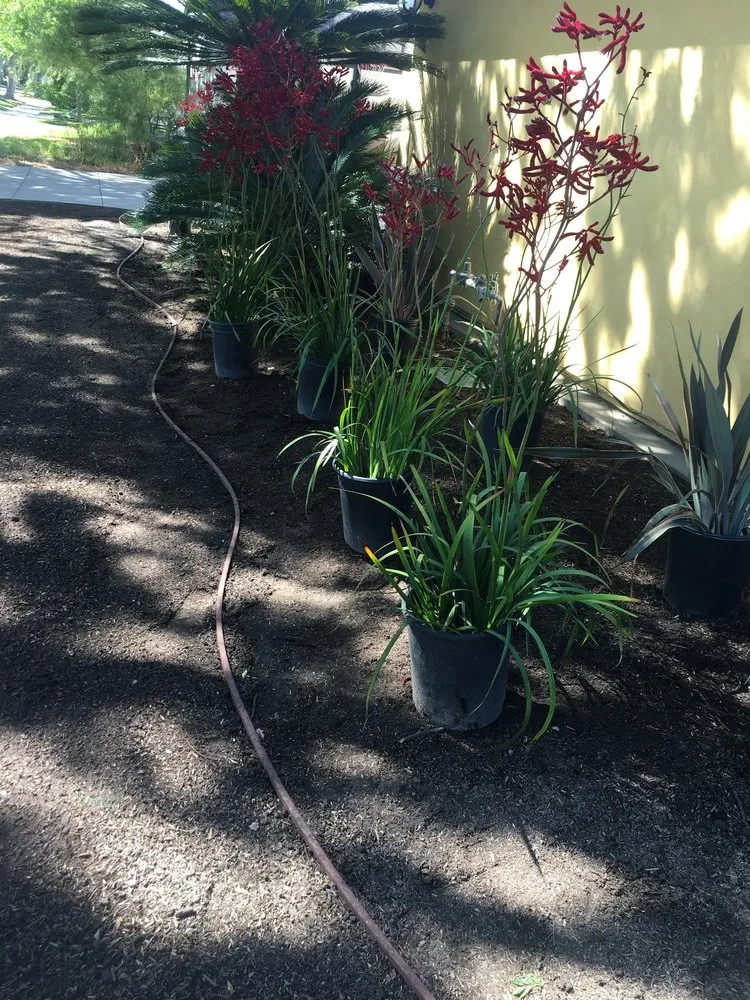 Local residential landscaping experts serving Los Angeles, CA - RGL Landscaping Services