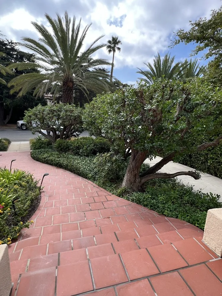 Top-rated yard cleanup service for outdoor upgrades across Los Angeles, CA - RGL Landscaping Services