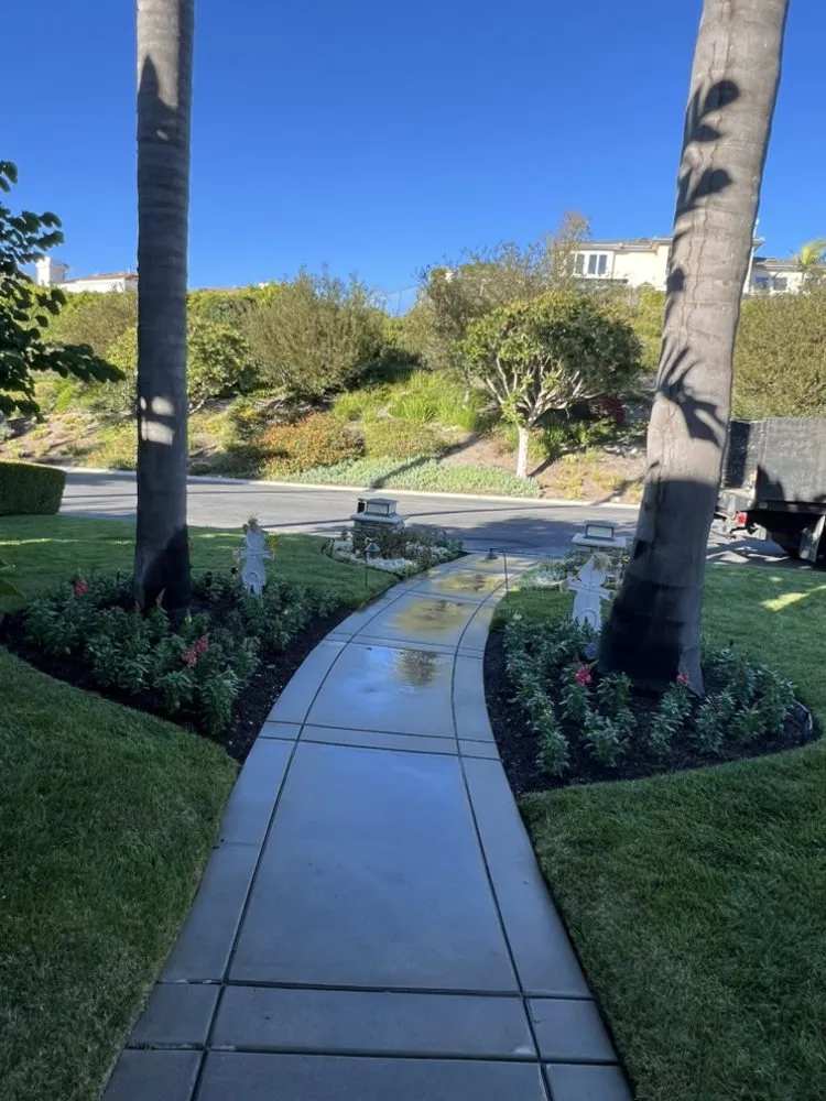 Top-rated lawn care service in Los Angeles, CA by RGL Landscaping Services