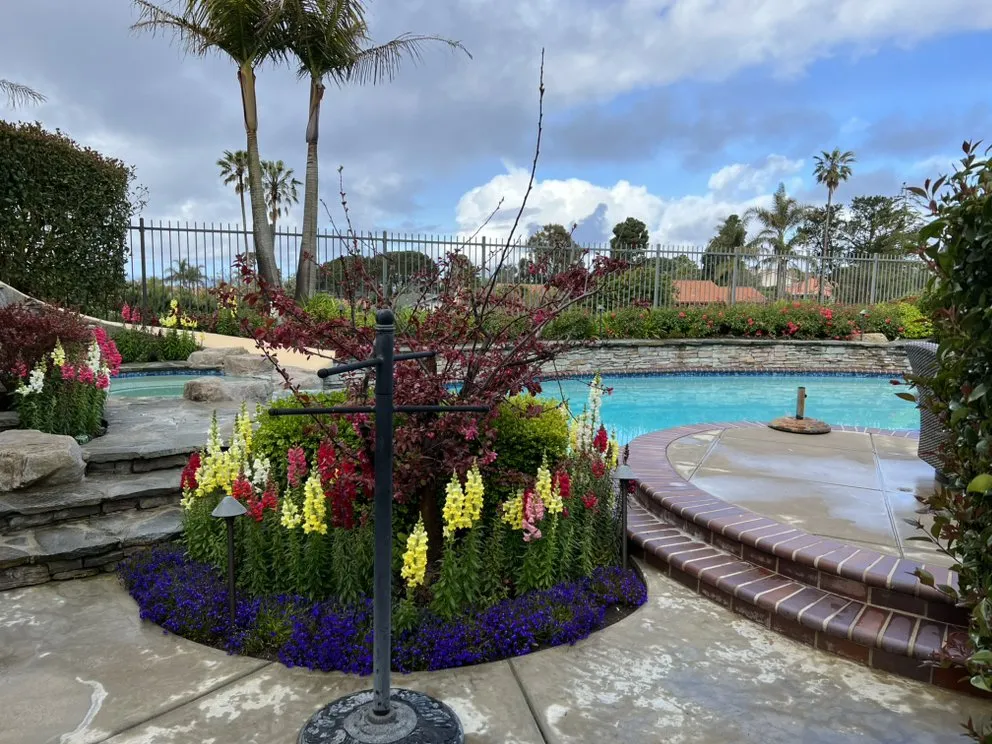Affordable outdoor landscaping near you in Los Angeles, CA by RGL Landscaping Services