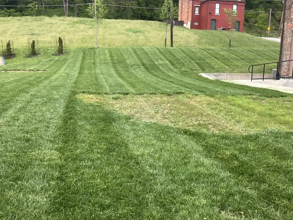 Reliable yard cleanup service for outdoor upgrades in Plum, PA by RGLB Tree Services