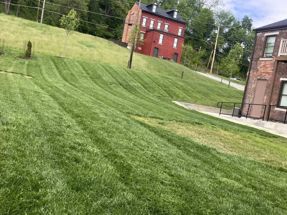 Top-rated landscape installation in Plum, PA by RGLB Tree Services