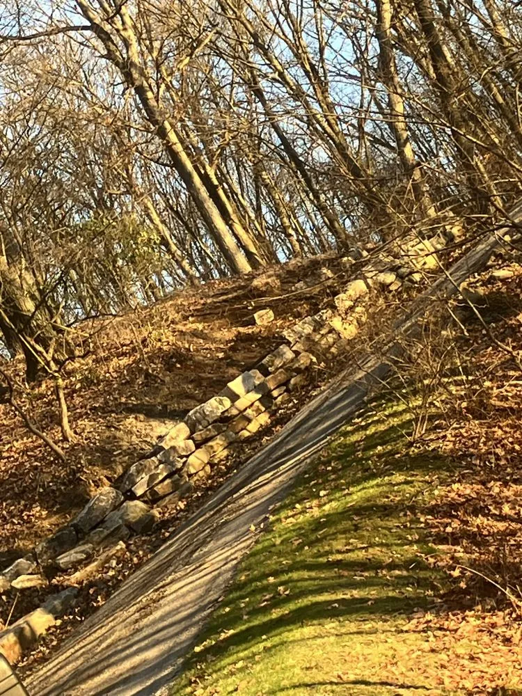 Top-rated landscape design experts serving Plum, PA - RGLB Tree Services