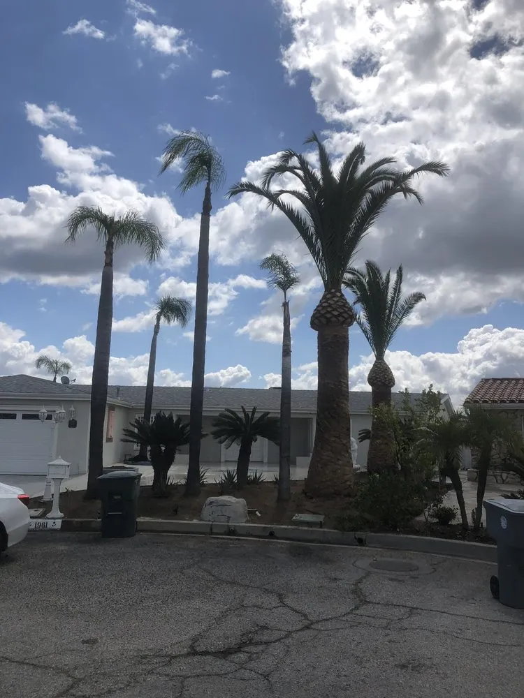 Reliable landscape installation in Lancaster, CA by RGM Tree Services