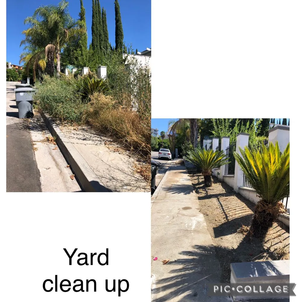 Trusted yard maintenance for homes in Lancaster, CA by RGM Tree Services