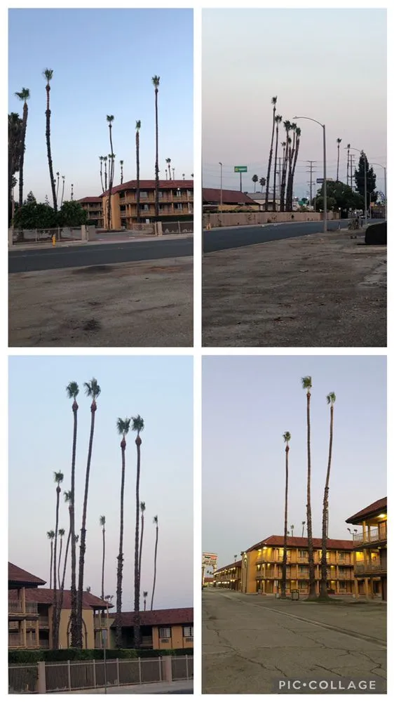 Custom garden landscaping experts serving Lancaster, CA - RGM Tree Services