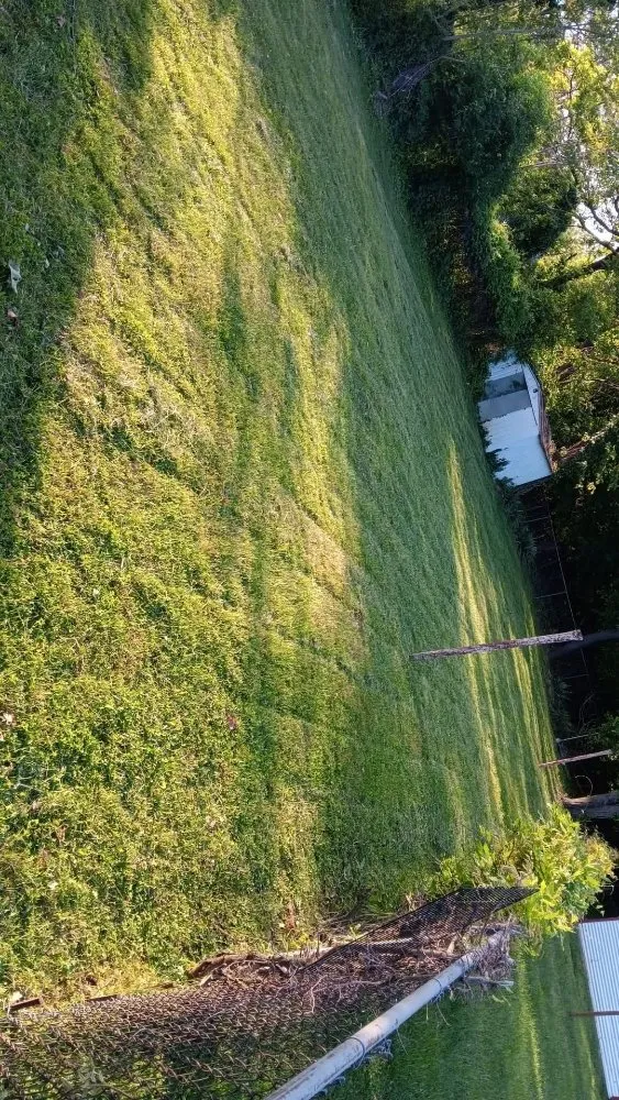 Top-rated lawn care service for residential properties in Roanoke, VA by RGMs Lawn Care