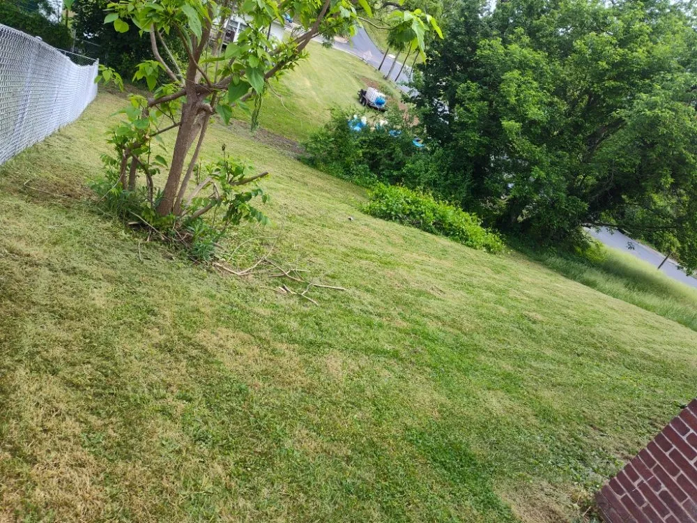 Reliable yard maintenance for year-round maintenance in Roanoke, VA by RGMs Lawn Care