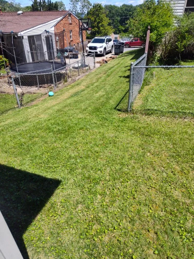 Expert yard cleanup service in Roanoke, VA by RGMs Lawn Care