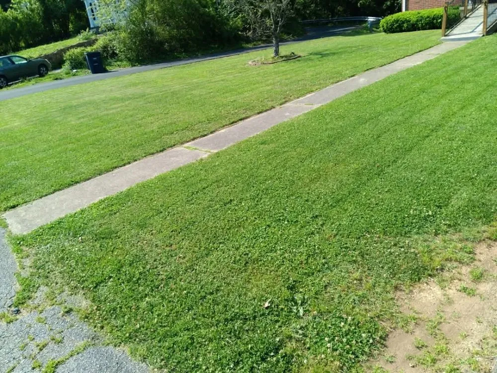 Expert outdoor landscaping experts serving Roanoke, VA - RGMs Lawn Care