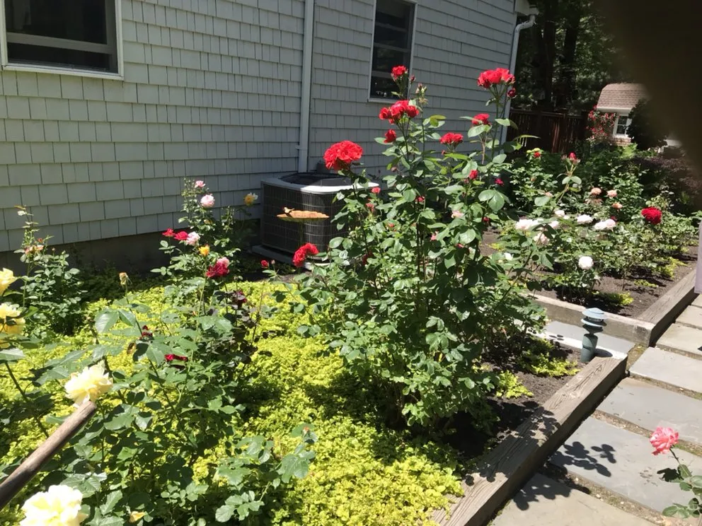 Local outdoor landscaping for residential properties in East Hampton, NY by RGR GARDEN SERVICES.