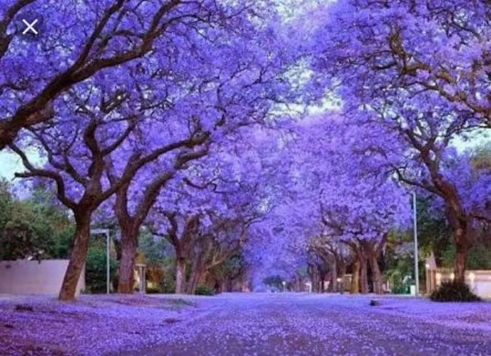 Top-rated residential landscaping for year-round maintenance across East Hampton, NY - RGR GARDEN SERVICES.