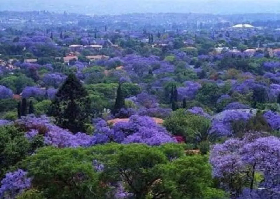 Reliable landscape design in East Hampton, NY - RGR GARDEN SERVICES.