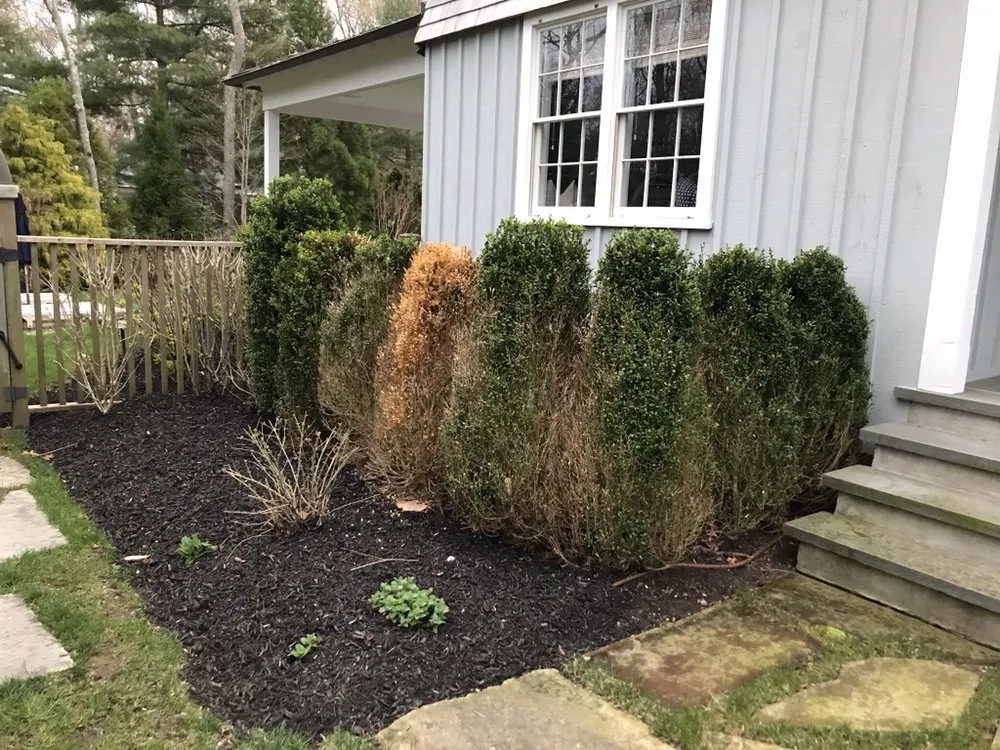 Expert yard maintenance with custom design across East Hampton, NY - RGR GARDEN SERVICES.