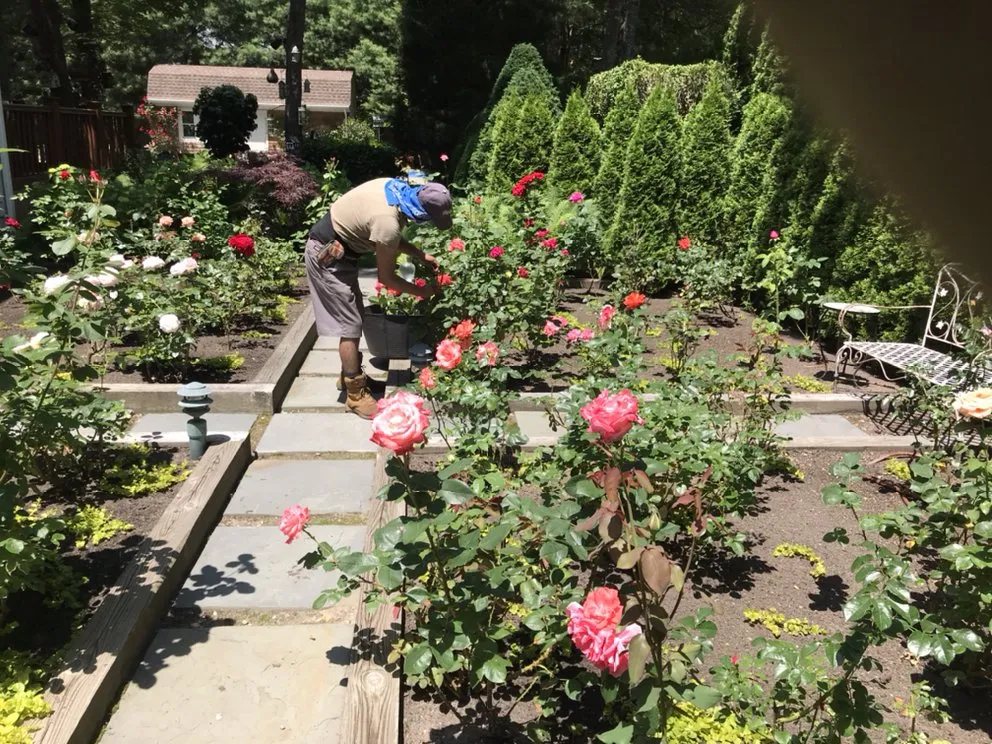 Reliable landscaping services for outdoor upgrades in East Hampton, NY by RGR GARDEN SERVICES.