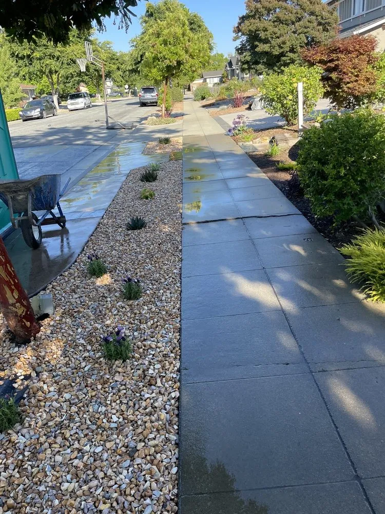 Expert yard maintenance near you in San Jose, CA by RGreen landscaping