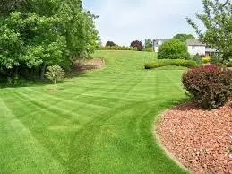 Local lawn mowing service in Allentown, PA by Rgreen Organic Lawn Care