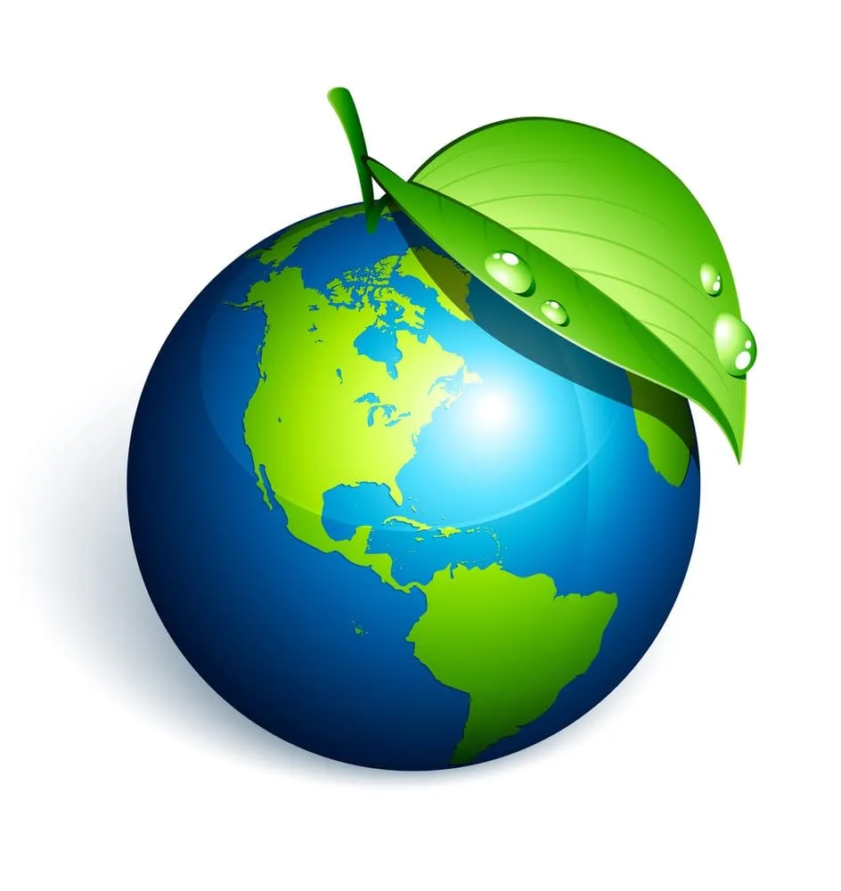 Professional garden landscaping for year-round maintenance in Allentown, PA by Rgreen Organic Lawn Care