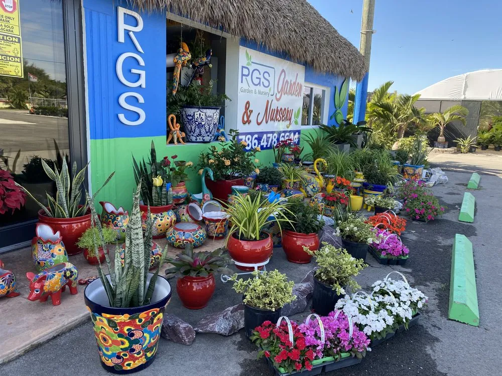 Professional yard cleanup service for outdoor upgrades across Miami, FL - RGS Garden and Nursery