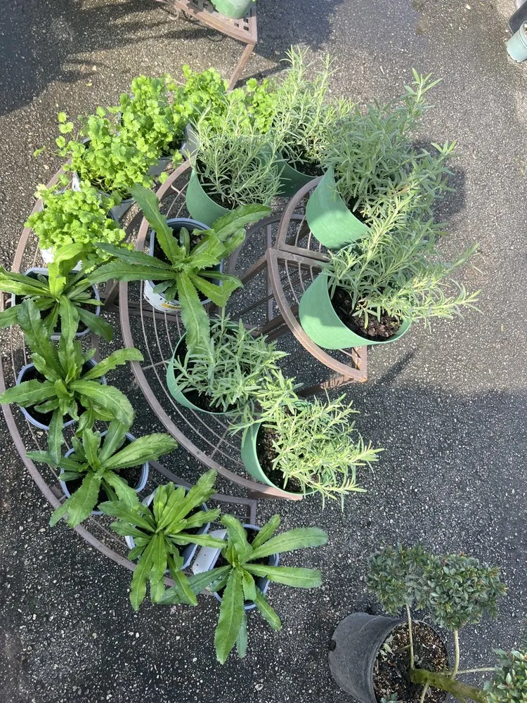 Local lawn care service experts serving Miami, FL - RGS Garden and Nursery