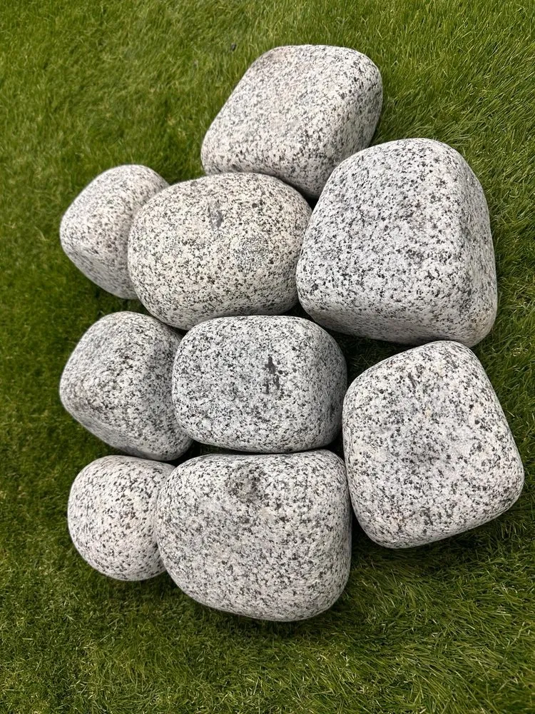 Professional yard cleanup service experts serving Miami, FL - RGS Garden and Nursery