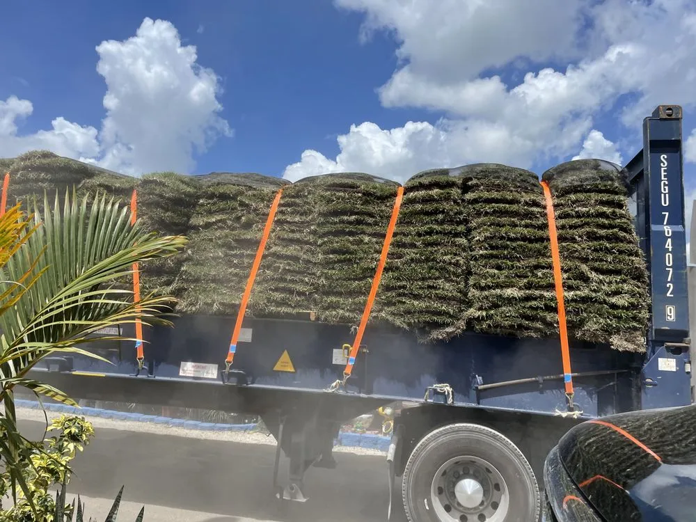 Professional landscape design for outdoor upgrades across Miami, FL - RGS Garden and Nursery