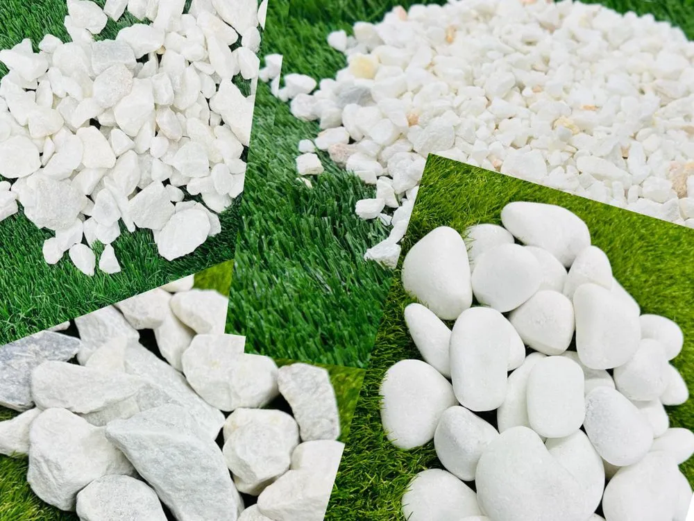 Trusted landscaping services experts serving Miami, FL - RGS Garden and Nursery