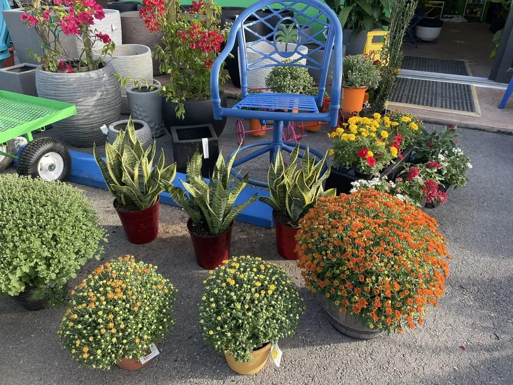 Top-rated lawn mowing service experts serving Miami, FL - RGS Garden and Nursery