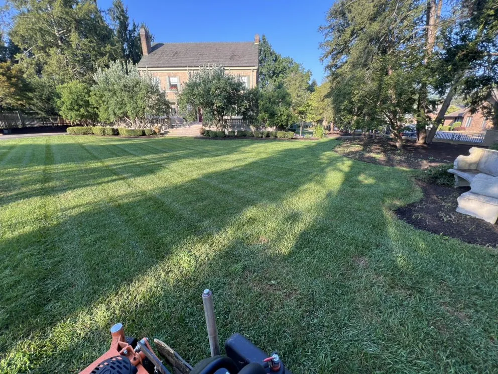 Top-rated yard cleanup service for outdoor upgrades in Glen Dale, WV by RG’s Lawn & Landscaping