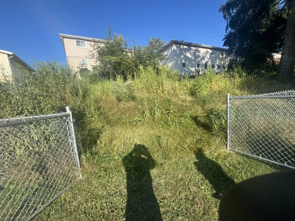 Local lawn care service for year-round maintenance across Glen Dale, WV - RG’s Lawn & Landscaping