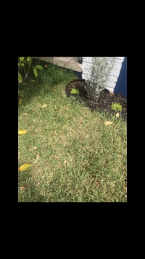 Reliable residential landscaping experts serving Miami, FL - Rgs Nursery