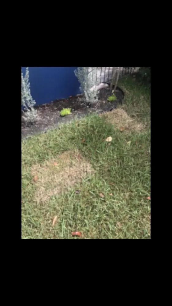 Top-rated garden landscaping in Miami, FL - Rgs Nursery