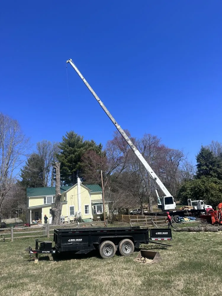 Expert yard cleanup service for residential properties in Ashburn, VA by RGS Services