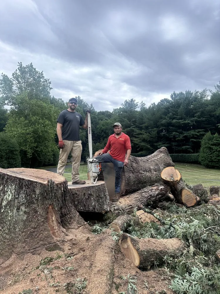 Custom outdoor landscaping with custom design in Ashburn, VA by RGS Services