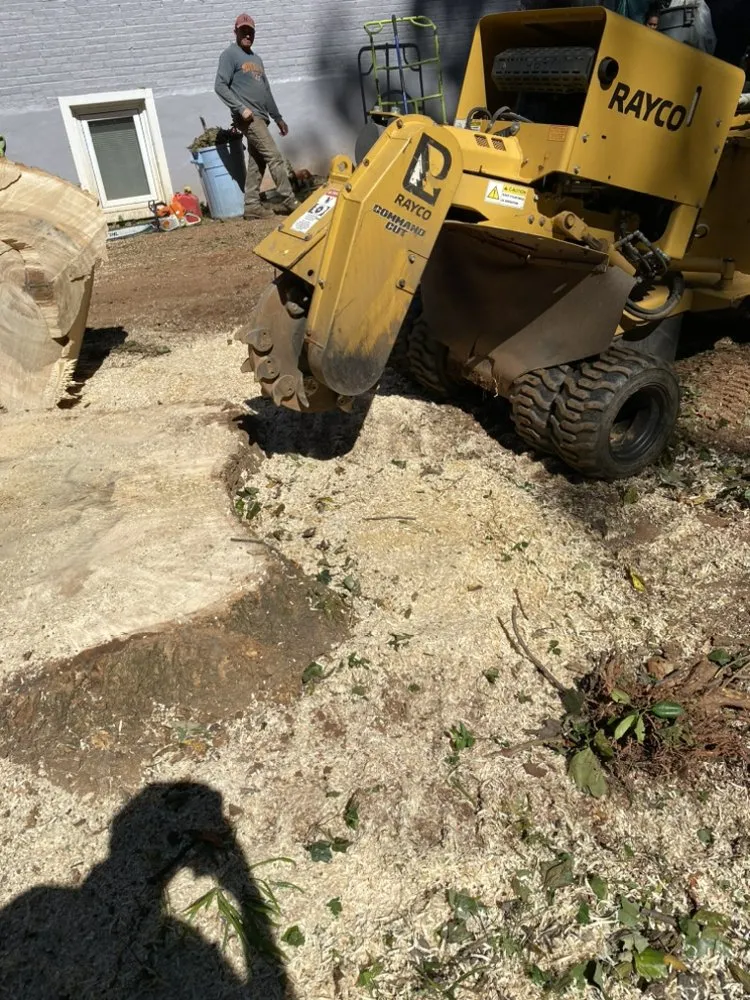 Local yard cleanup service in Ashburn, VA by RGS Services