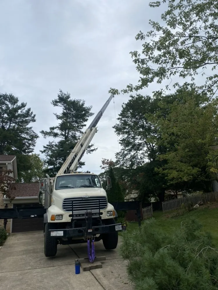 Local yard cleanup service for outdoor upgrades across Ashburn, VA - RGS Services