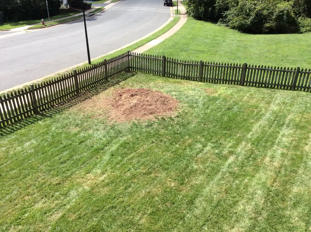Expert outdoor landscaping with custom design across Ashburn, VA - RGS Services