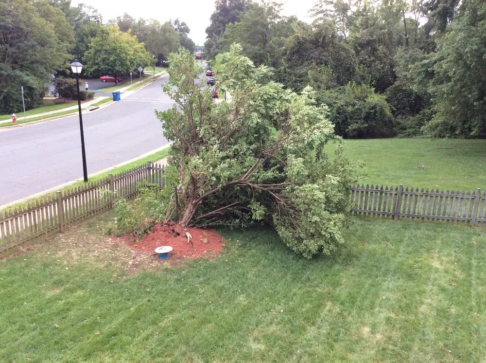 Local outdoor landscaping in Ashburn, VA - RGS Services