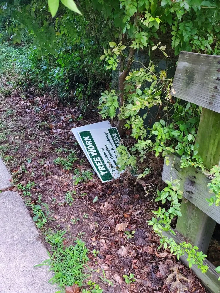 Expert lawn care service in Ashburn, VA by RGS Services