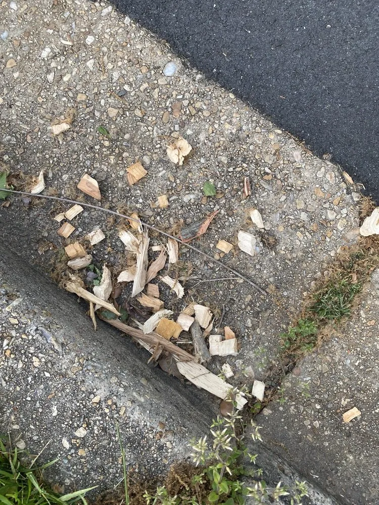 Local yard cleanup service in Ashburn, VA - RGS Services