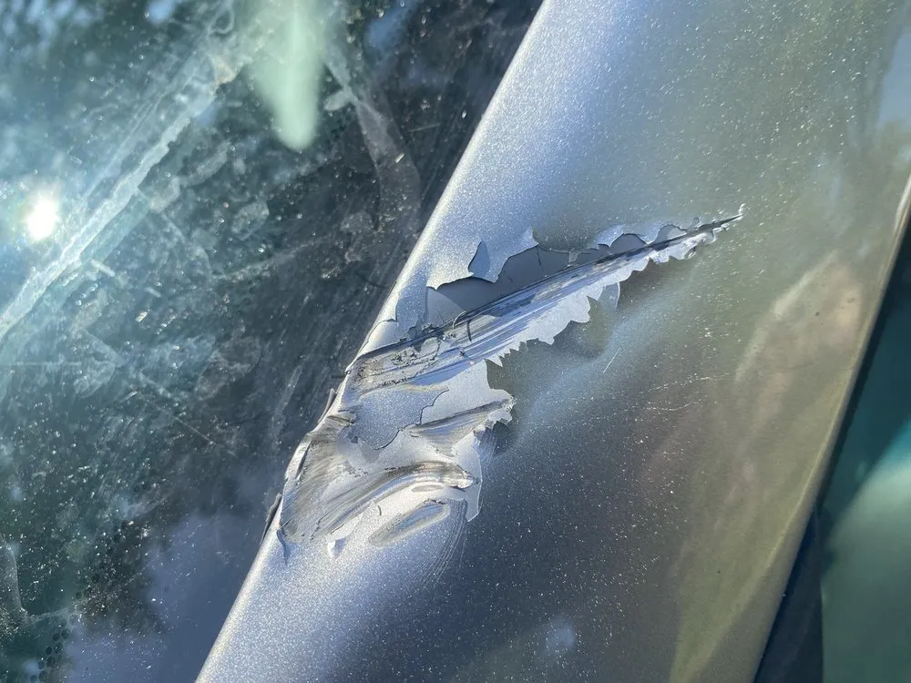 Custom outdoor landscaping experts serving Ashburn, VA - RGS Services