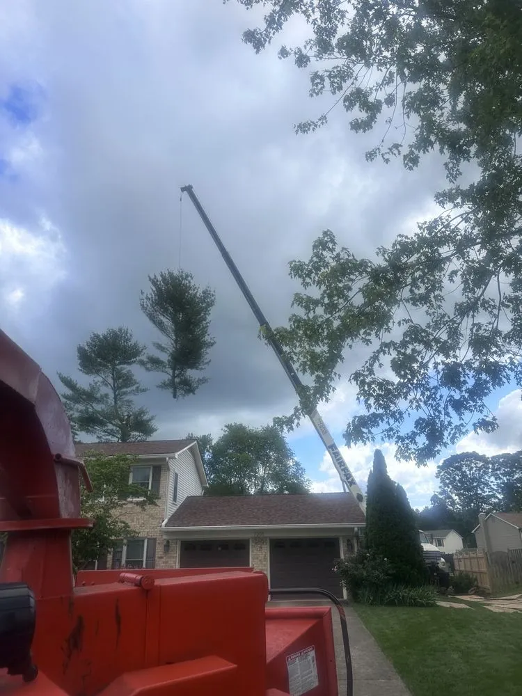 Top-rated landscape installation in Ashburn, VA - RGS Services