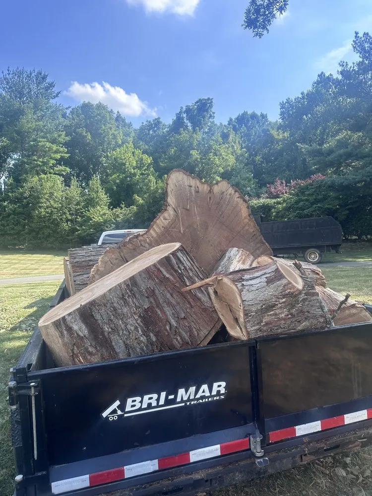 Top-rated lawn mowing service in Ashburn, VA - RGS Services