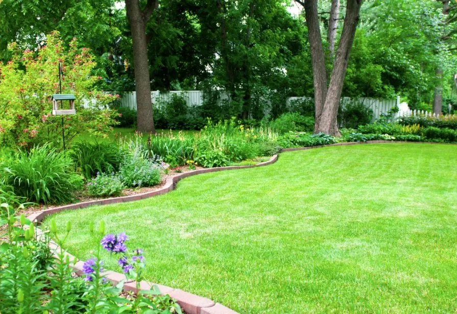 Local landscaping services in Brownsville, TX - RGV Elite Lawn Care