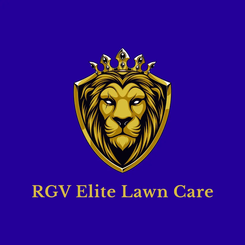 Professional landscape design for outdoor upgrades in Brownsville, TX by RGV Elite Lawn Care