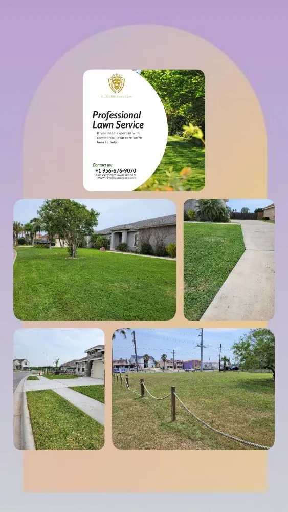 Professional lawn mowing service for year-round maintenance in Brownsville, TX by RGV Elite Lawn Care